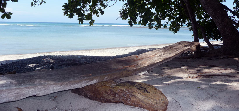 Cabo Blanco Park Area