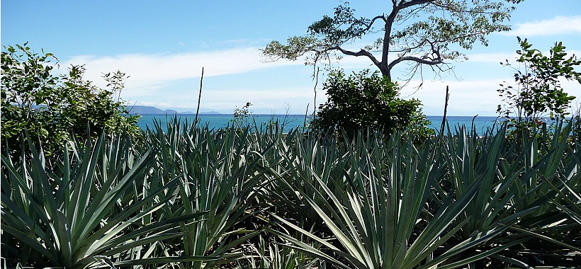 Cabo Blanco Park Area