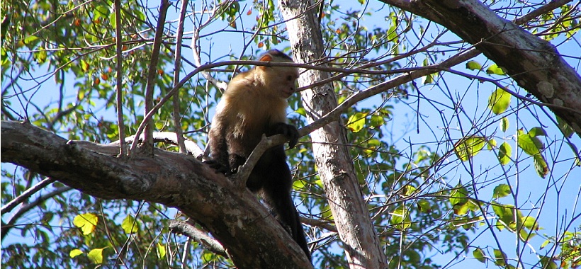 Cabo Blanco Park Area