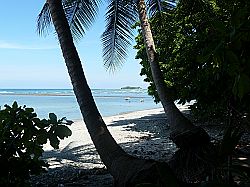 Cabuya Beach