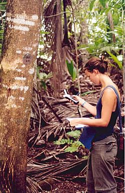 Forestry research at Curú Researcher at Curu Wildlife Refuge in the Nicoya Peninsula