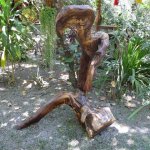 Drift Wood