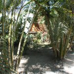 Garden & Cabin