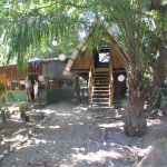 Main Office & Jungalow