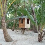 Tree House