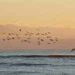 Dawn at Cabuya