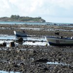 Walk to Cabuya Island