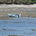 Fishing Boat