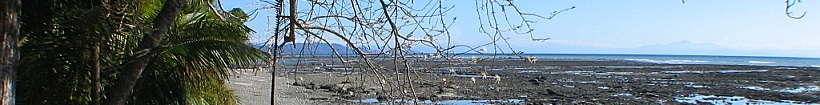 An Image Slideshow