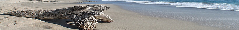 An Image Slideshow